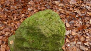 Der kleine Dreimärker